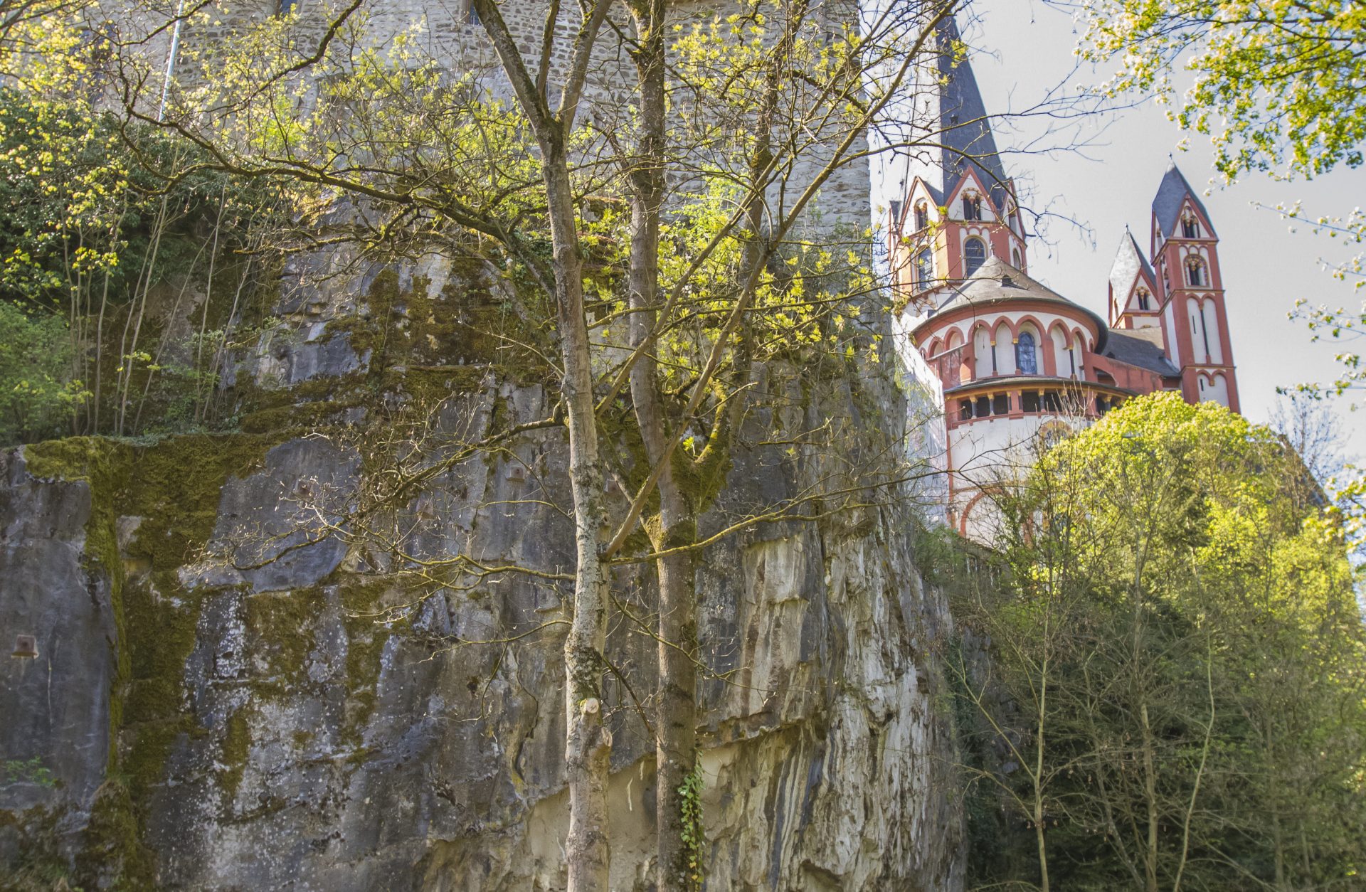 Domfelsen Limburg